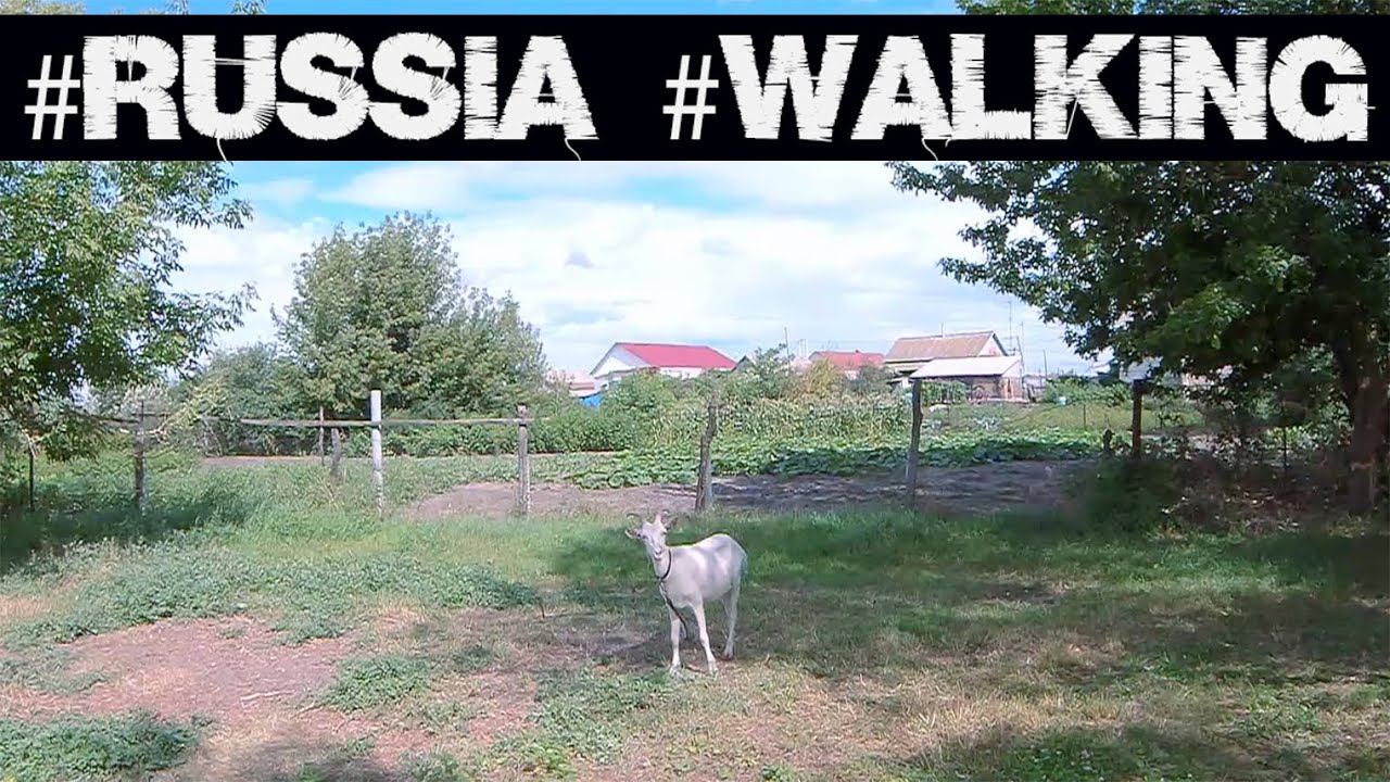 /Passeio rural da Rússia/ Прогулка в посёлке Рудня близ Чёрного озера. #volgogrado #rússia #russos