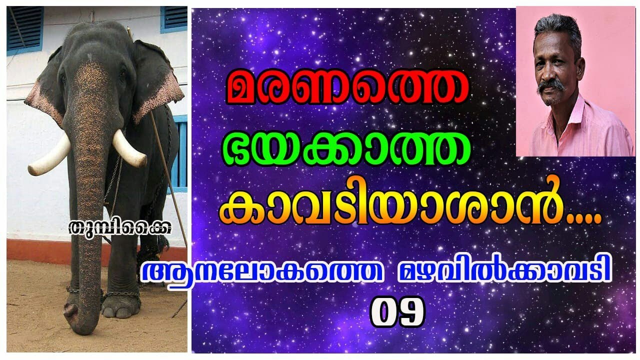 EPISODE 69 || മരണത്തെ ഭയക്കാത്ത കാവടിയാശാൻ || ആനലോകത്തെ മഴവിൽക്കാവടി 9