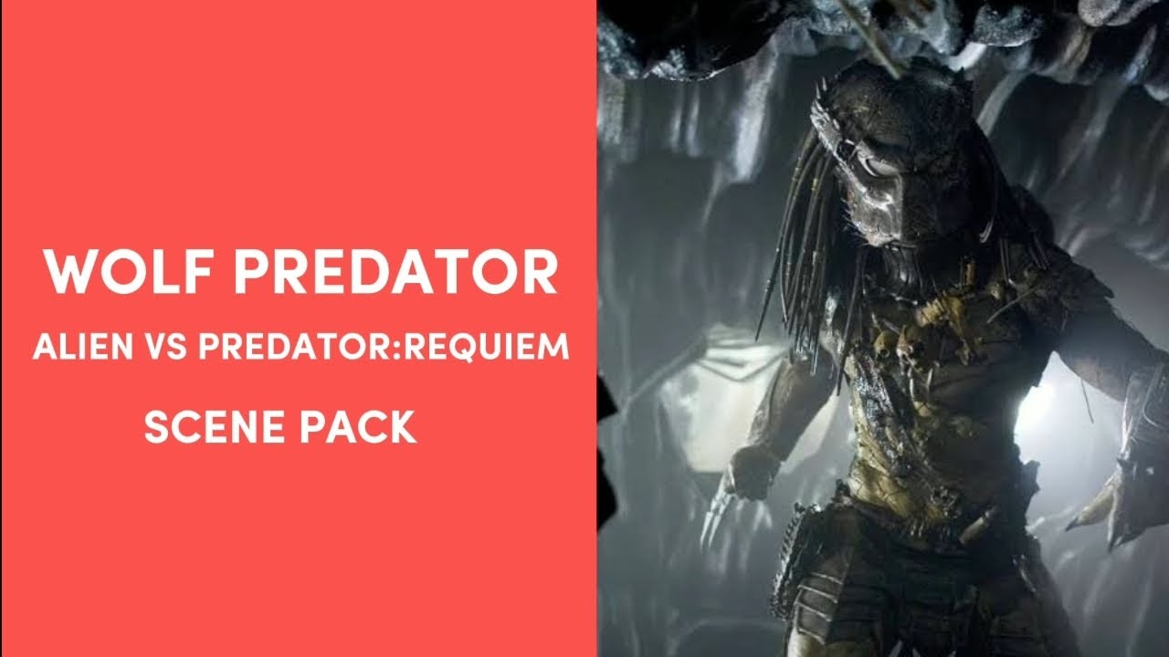 Wolf Predator Scenepack 1080 HD