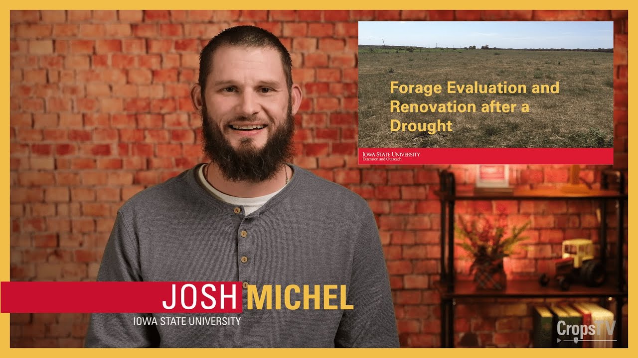 Forage evaluation and renovation after a drought