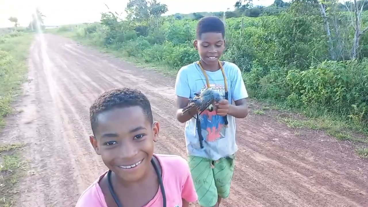 Caçando de baladeira/estilingue, com Bob, o nosso cão de caça! Uma caçada com êxito, muitos abates.