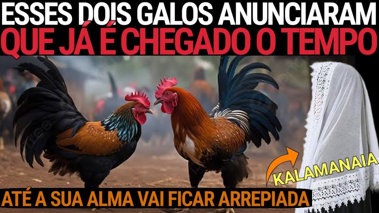 Testemunho CCB- As três irmãs que desceram do céu de madrugada, e os dois galos profetas (LOUCURAAA)