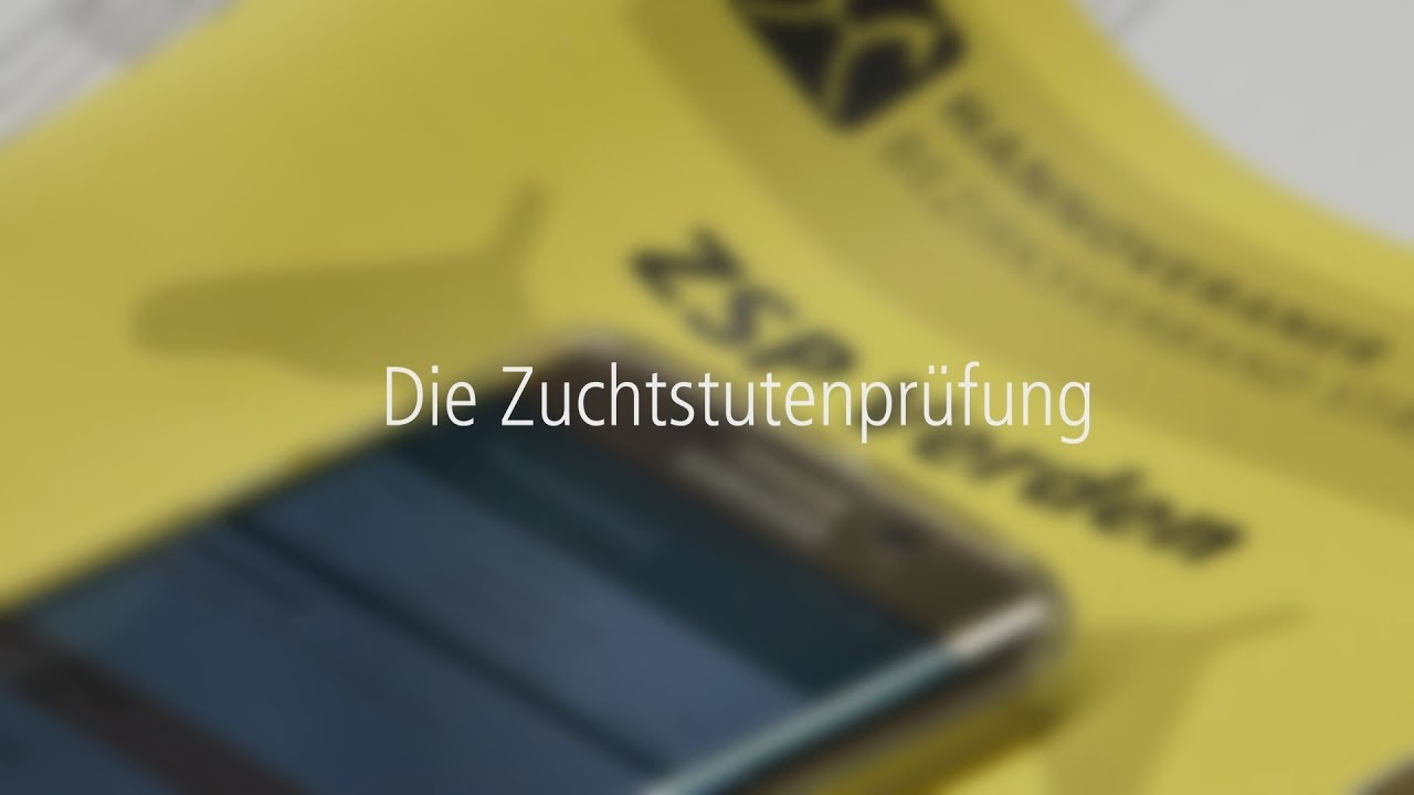 Zuchtstutenprüfung – Mare performance test