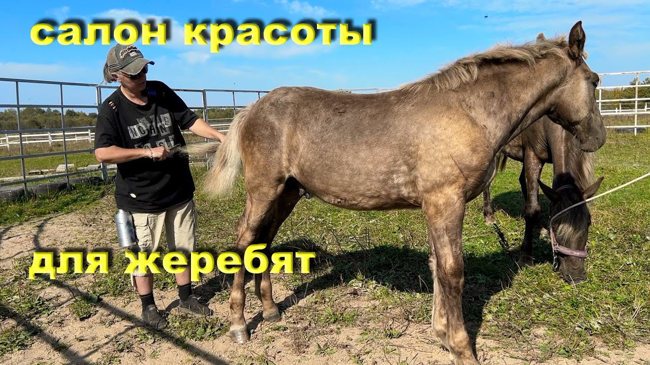 Налаживаем контакт