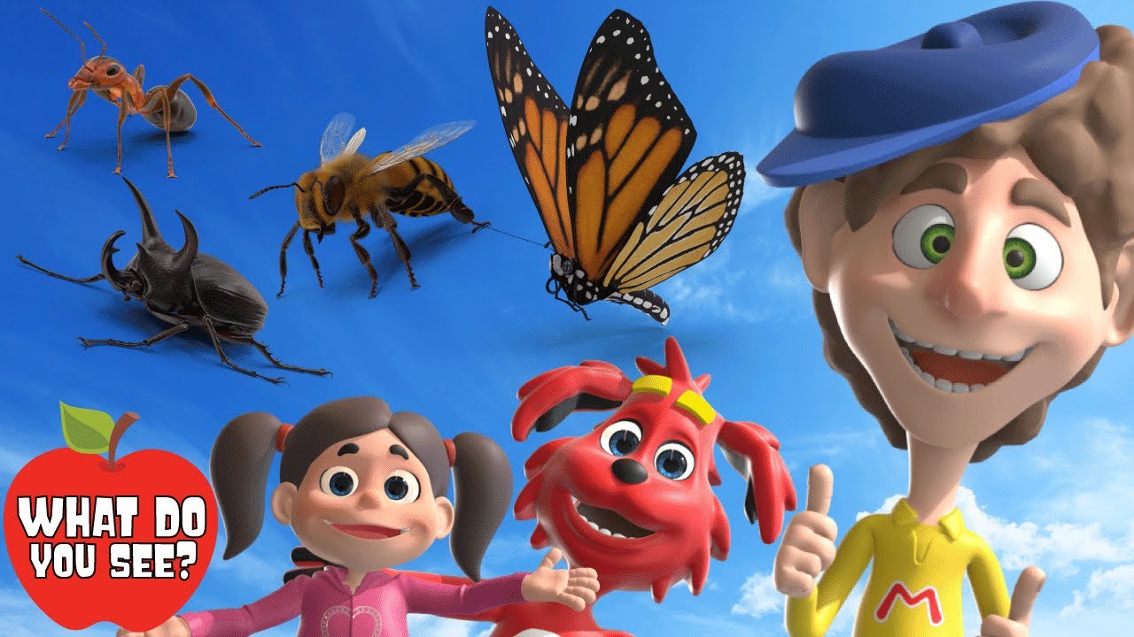 Bugs | What Do You See? Song Animation | Dream English Kids