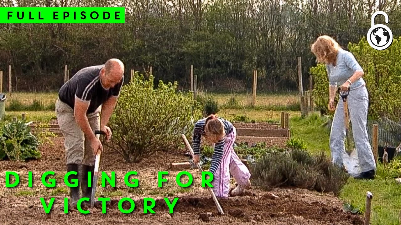 Digging For Victory: Cardiff Full Episode