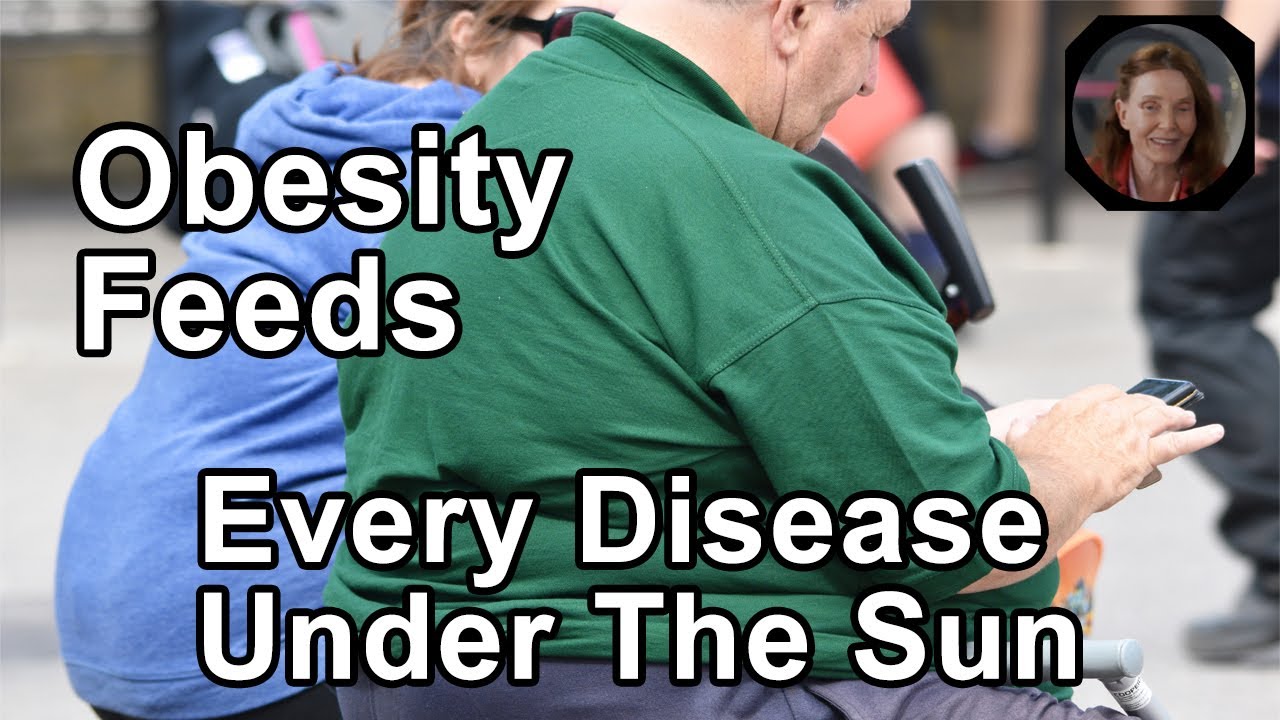 Obesity Feeds Every Disease Under The Sun -  Anna Maria Clement, PhD