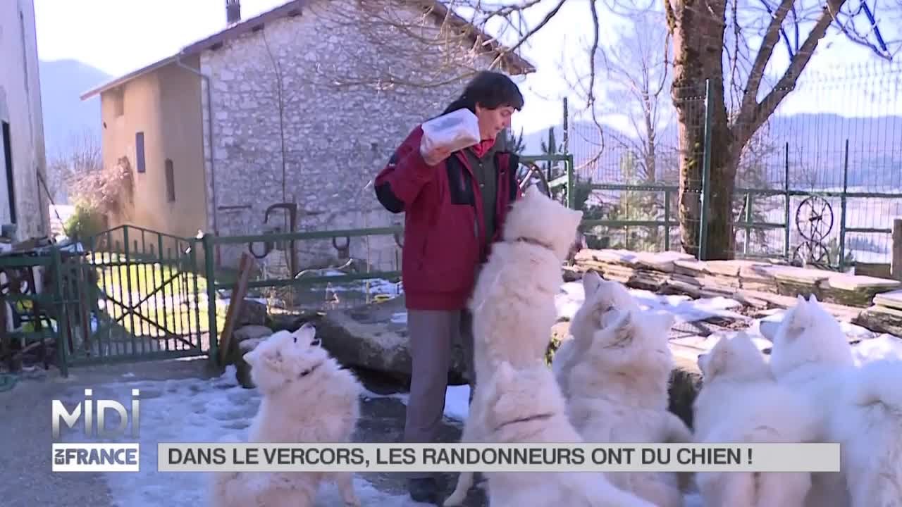 ANIMAUX : Dans le Vercors, les randonneurs ont du chien !