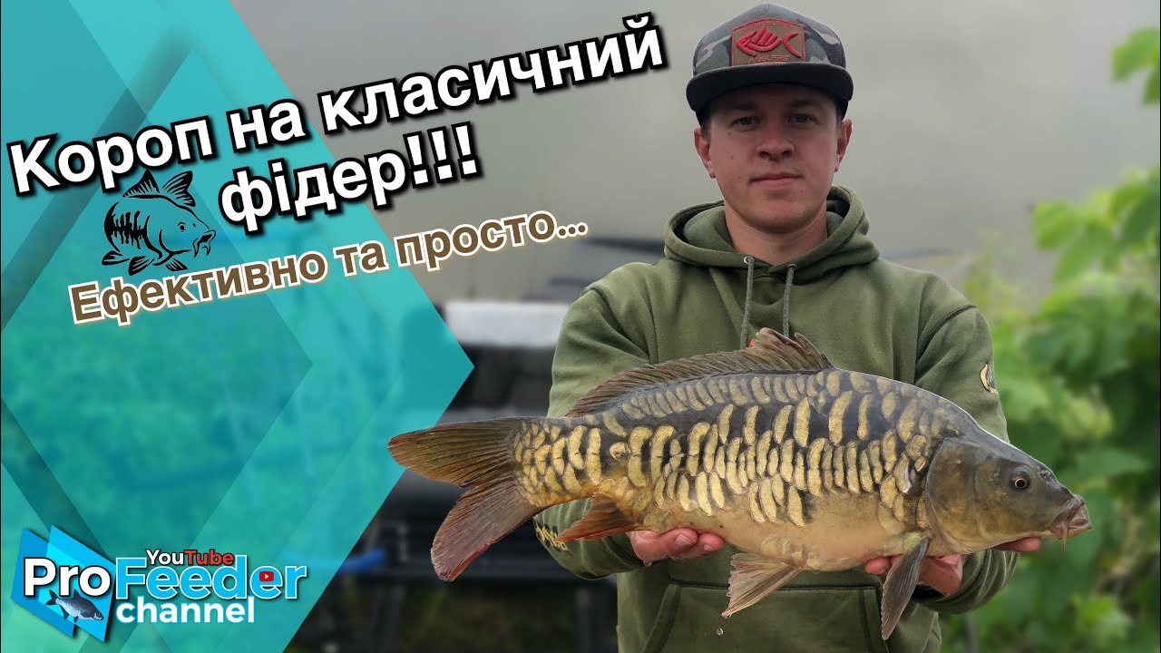 Короп на класичний фідер! Ефективно і просто…