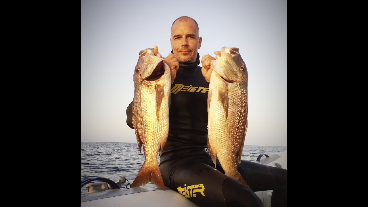 2x Dentex Stoneshot - Malta Deep Spearfishing - Denis Salamon | SPEARFISHERZ [2.7K]