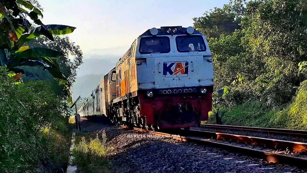 KERETA API PANJANG‼️ MENEMUKAN 31 KERETA API PANJANG DI PALANG PINTU WADIDAW UHUY