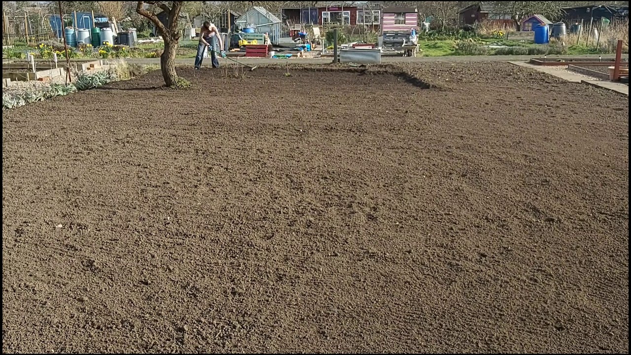 Allotment ground  Leveling