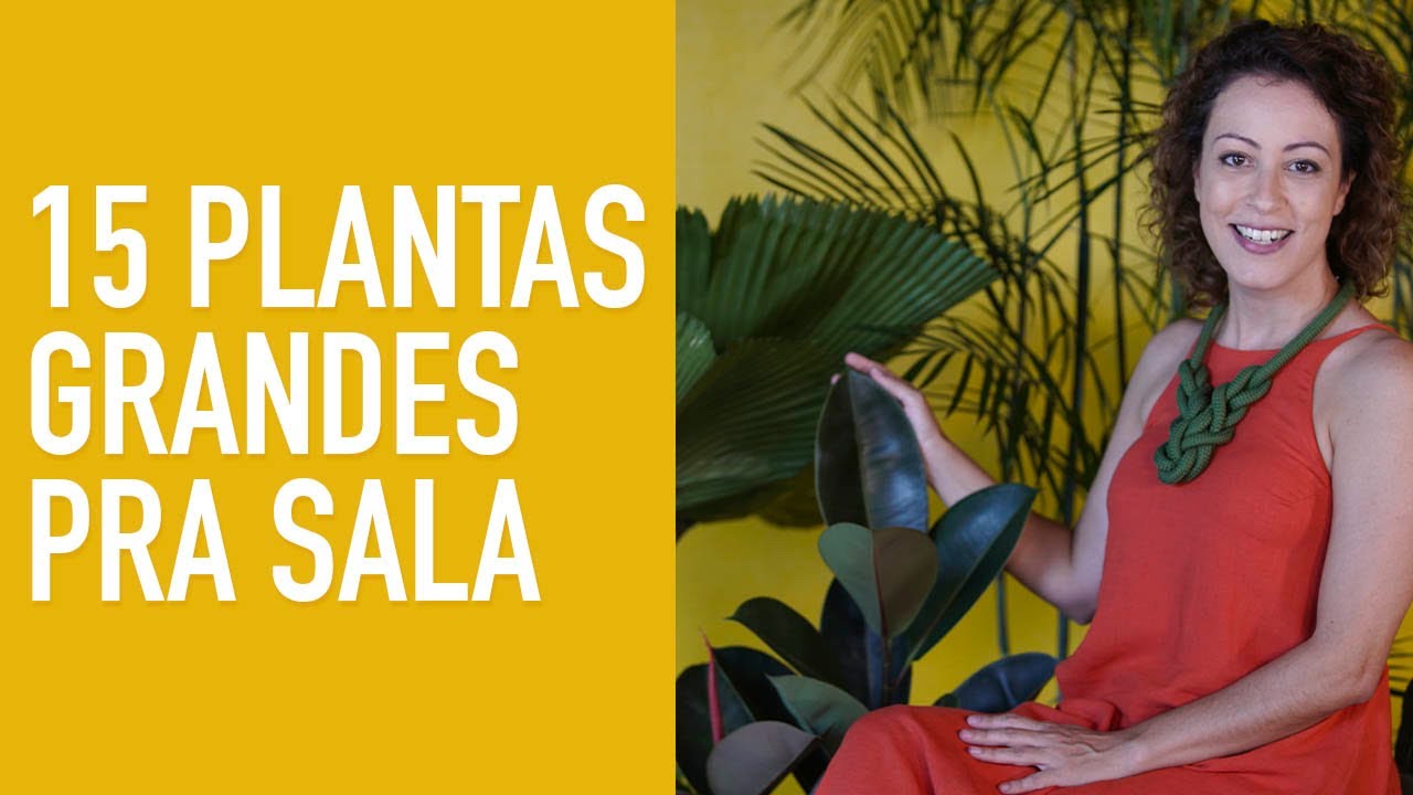 15 PLANTAS GRANDES para SALA: sugestões de DECORAÇÃO de CASA