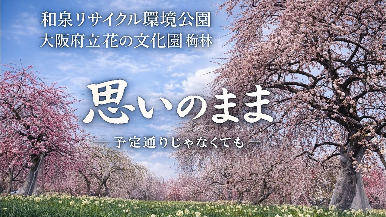2026.2.23和泉リサイクル公園と花の文化園の梅in大阪