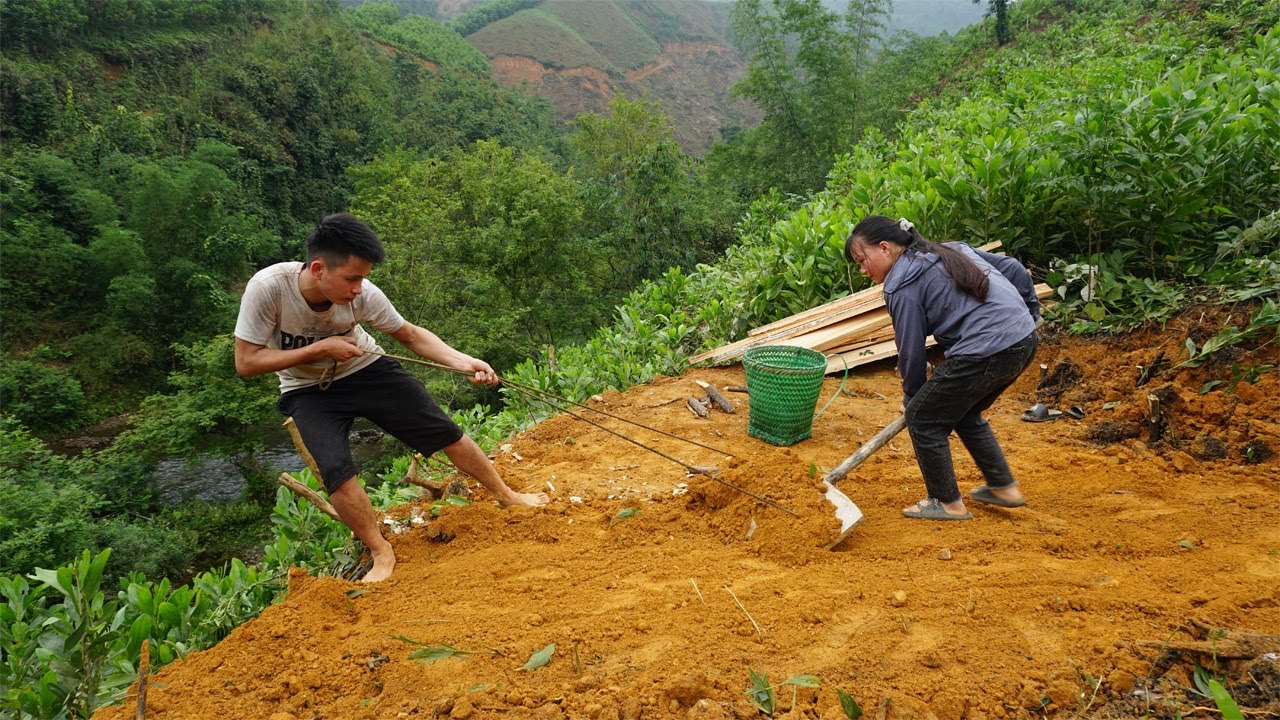 The couple left the city returned to live in the forest. Harvesting trees to building wooden house