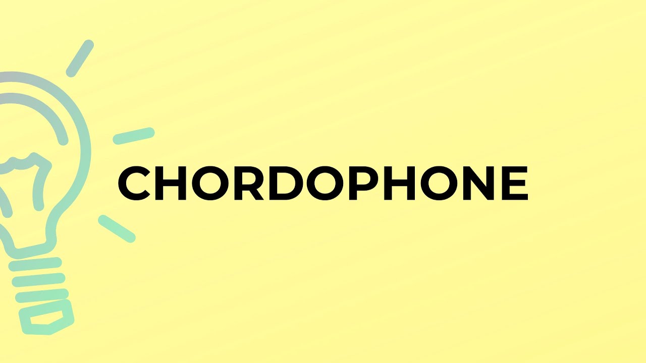 What is the meaning of the word CHORDOPHONE?