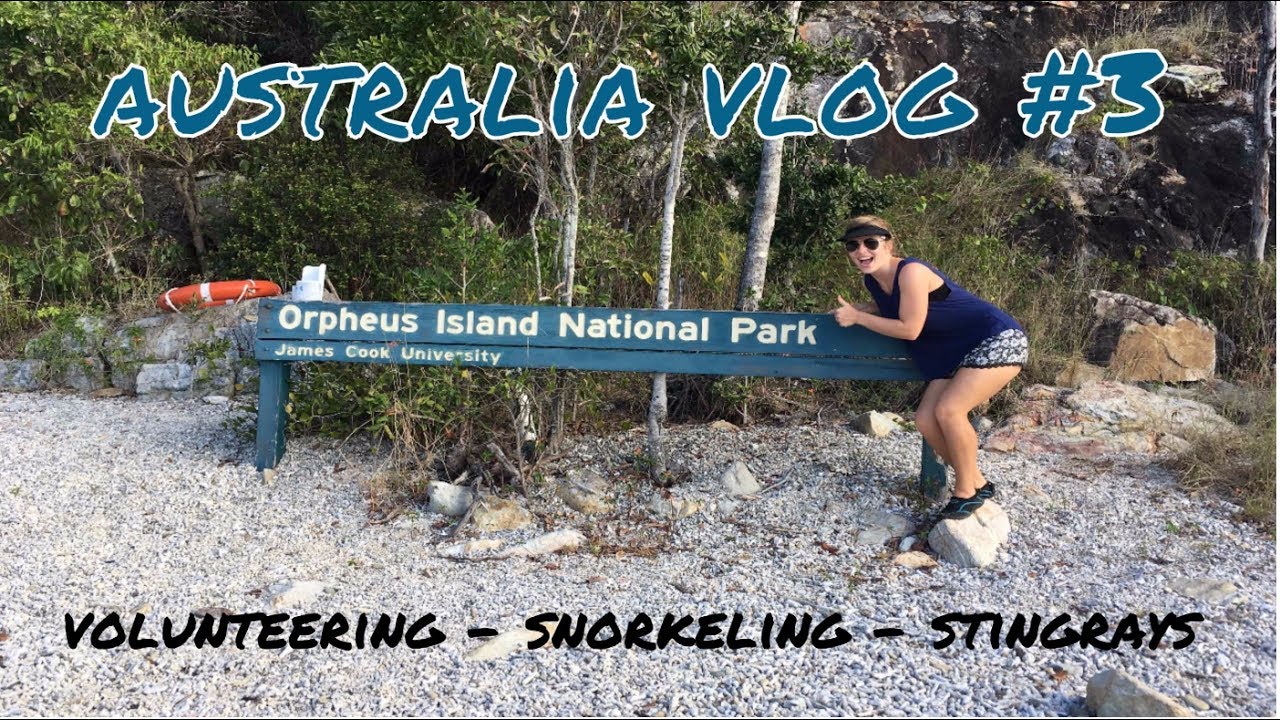 A week as a marine biologist #4 | Volunteering at Orpheus Island Research Station