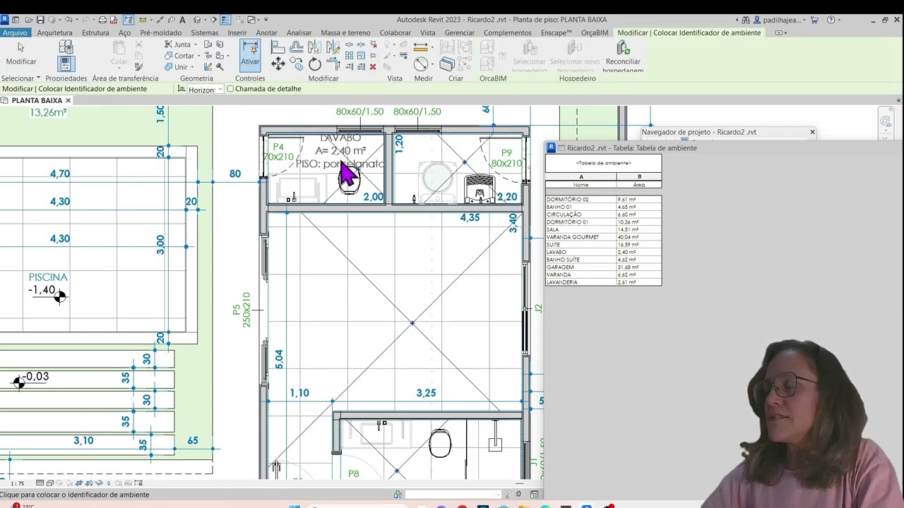 Como apagar de uma vez por todas o ambiente do Revit?