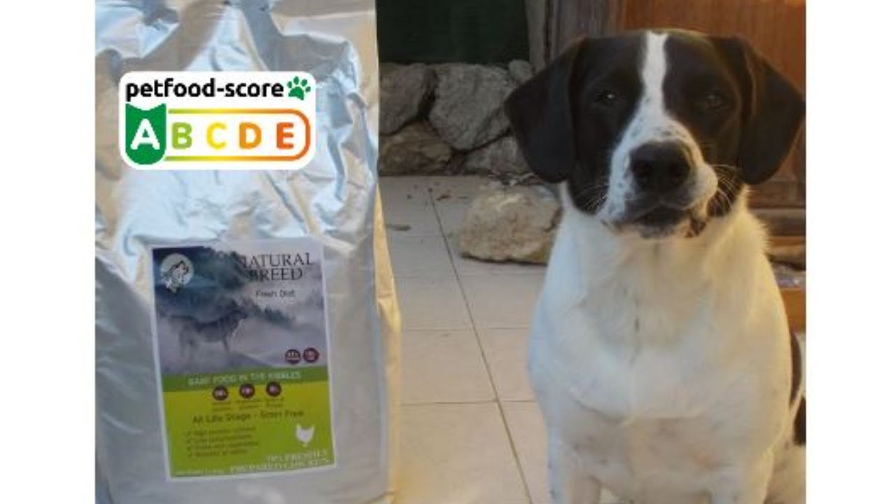 Nouvelles croquettes franco-françaises NATURAL BREED pour chiens classées A++ au Petfood-score