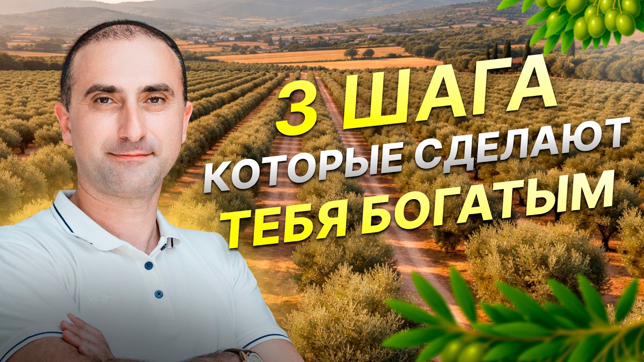 Как вырастить команду в Stability: путь директора и сила сообщества