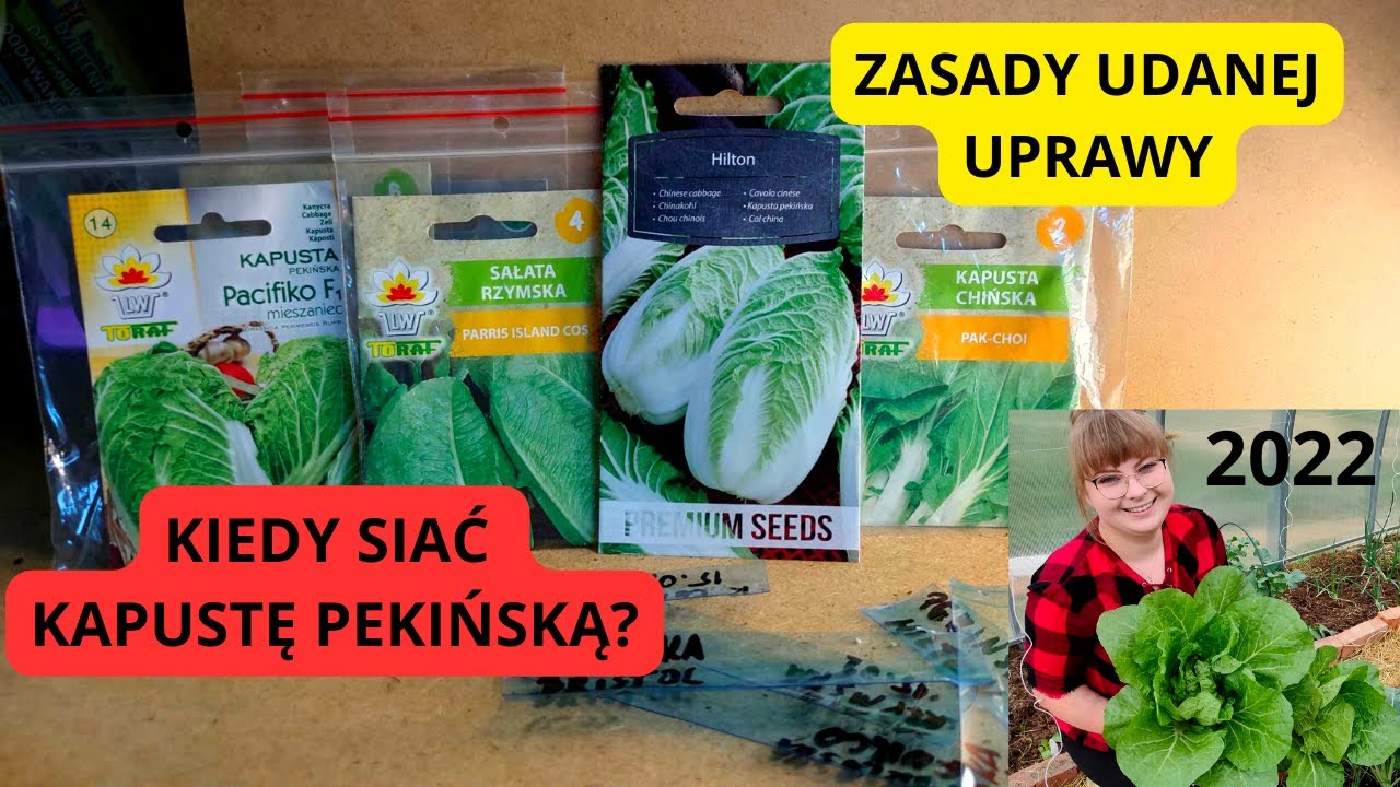 Uprawa kapusty pekińskiej JAK SIAĆ KAPUSTĘ PEKIŃSKĄ Kiedy siać kapustę Co siać w lutym Uprawa warzyw