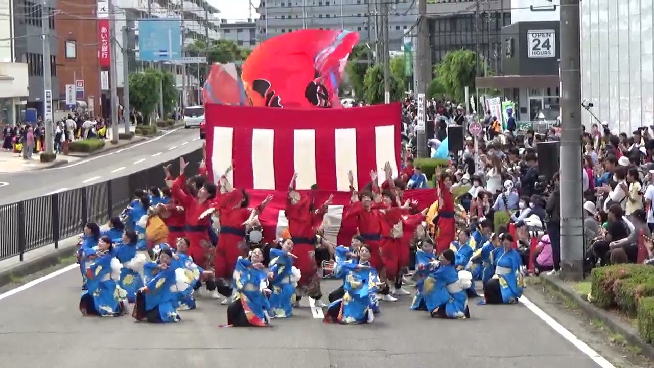 夜宵　2025　犬山踊芸祭　　パレード会場　　6月1日　2日目　パレード審査20番目　第２1回犬山踊芸祭
