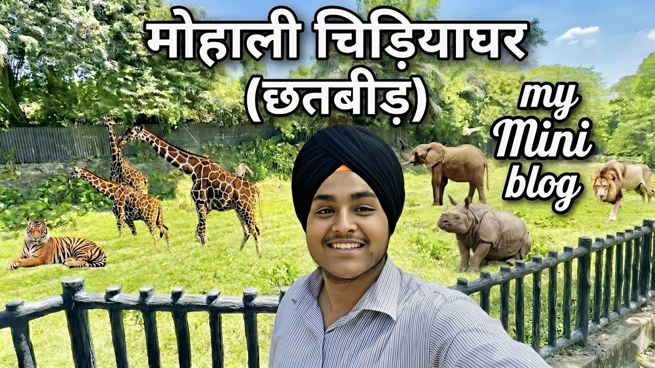 Chhatbir Zoo Mohali: शेर और हाथी के साथ मेरा दिन! 🦁🐘 | My Mini Blogछतबीर चिड़ियाघर की सैर! 🦒 मोहाली 