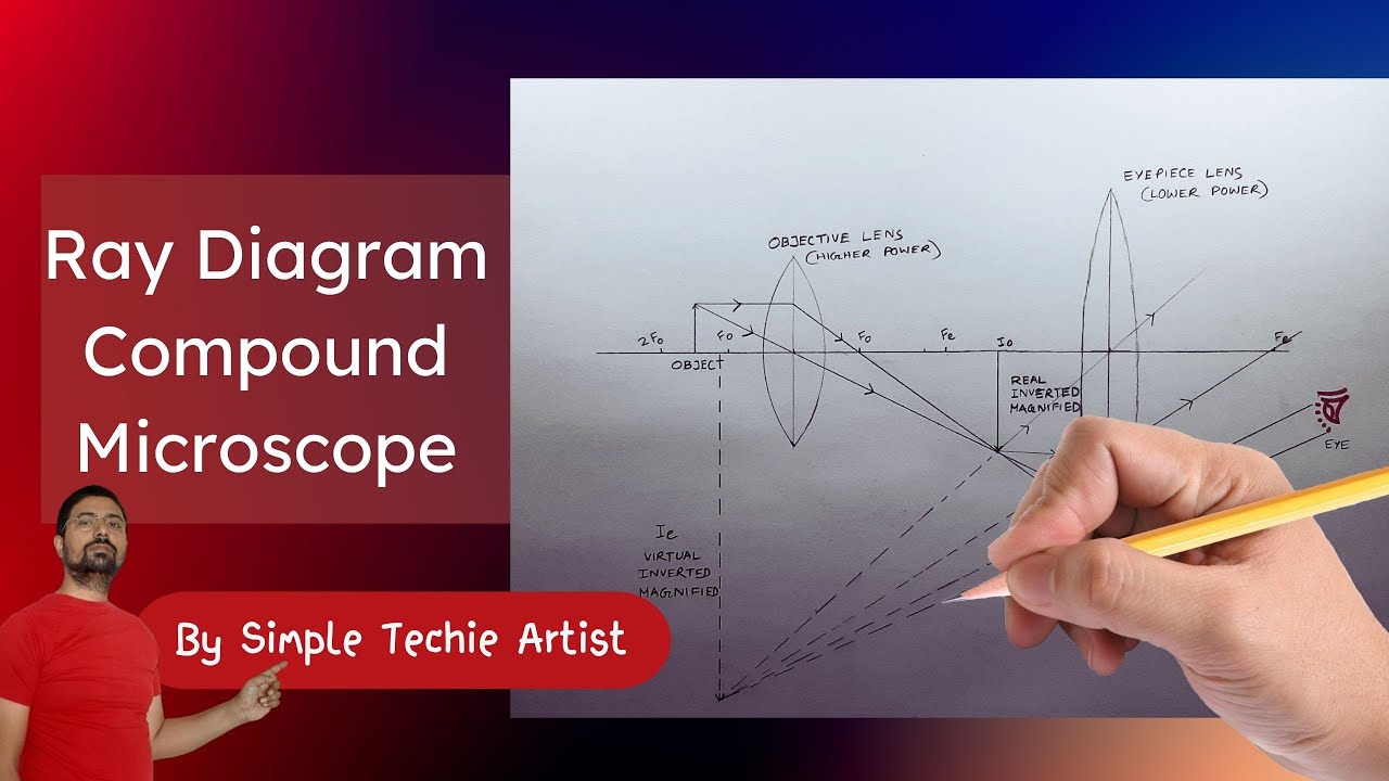 Рисование диаграммы лучей сложного микроскопа: пошаговое руководство #cbseclass10 #cbse #physics ...