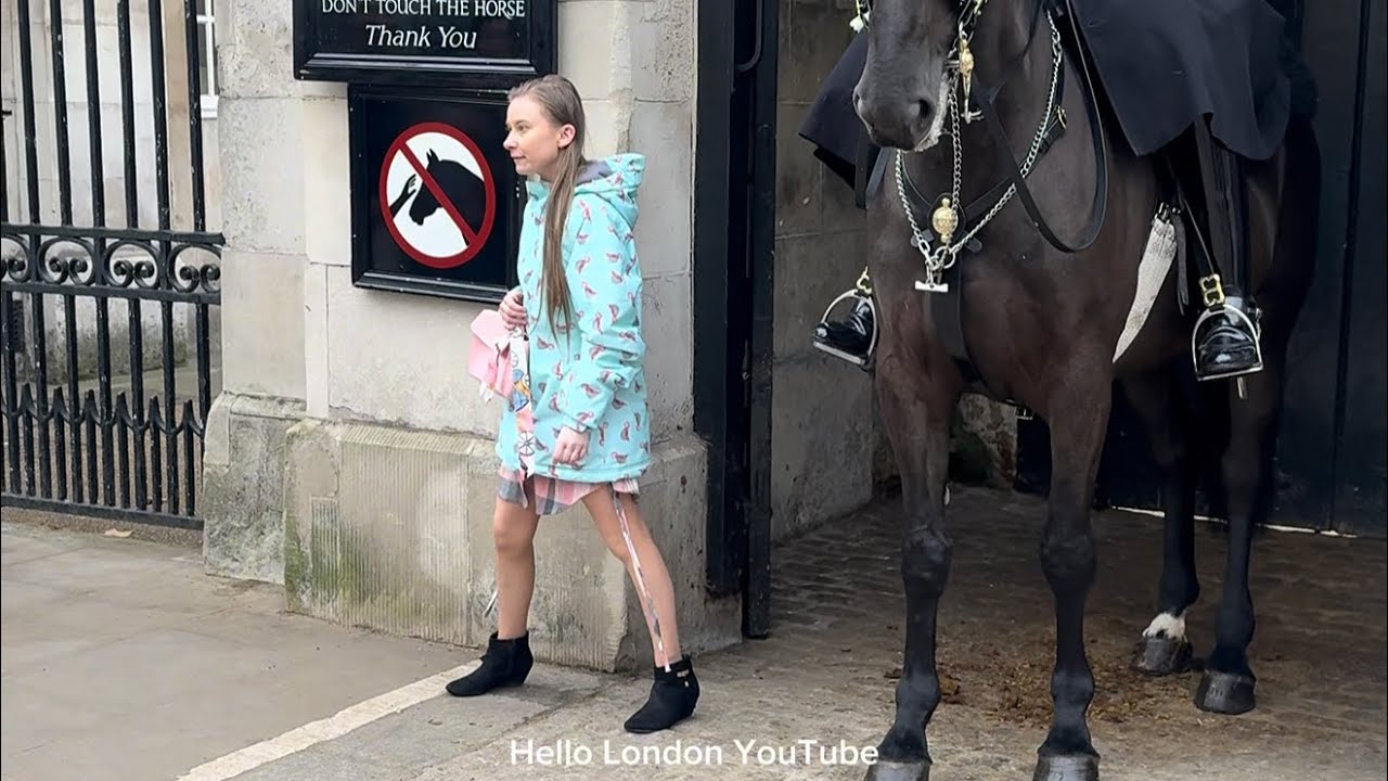 She stepped into the box… 😳🐎The guard didn’t hesitate: “OUT OF THE BOX