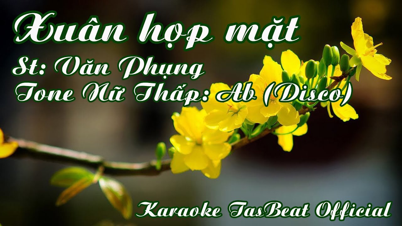 Karaoke Xuân Họp Mặt (Disco) Tone Nữ Thấp | TAS BEAT
