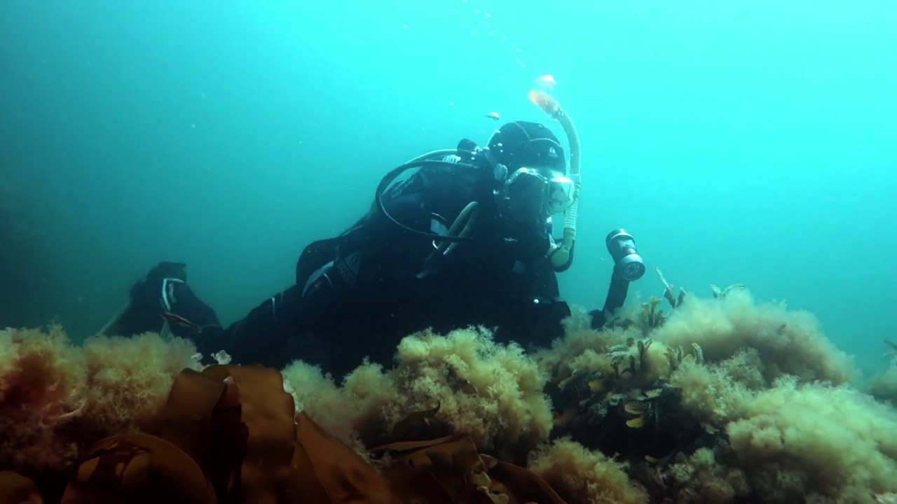 Scuba Diving Sweden. Palnatokes skr&auml;nt, Kullen. May 19th 2018.