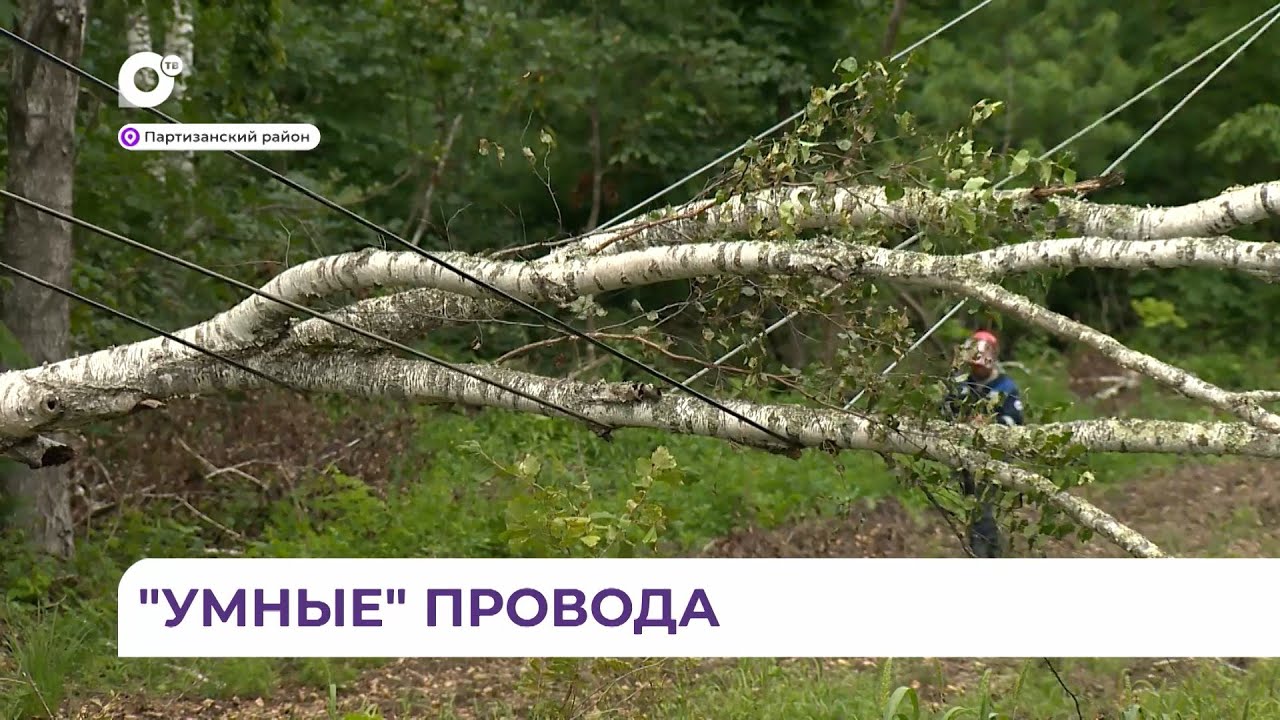 Пробная линия электропередачи с функцией самовосстановления оправдала своё название
