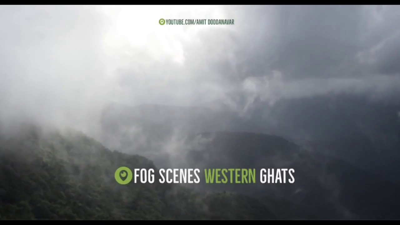 Fog Scenes Of Western Ghat