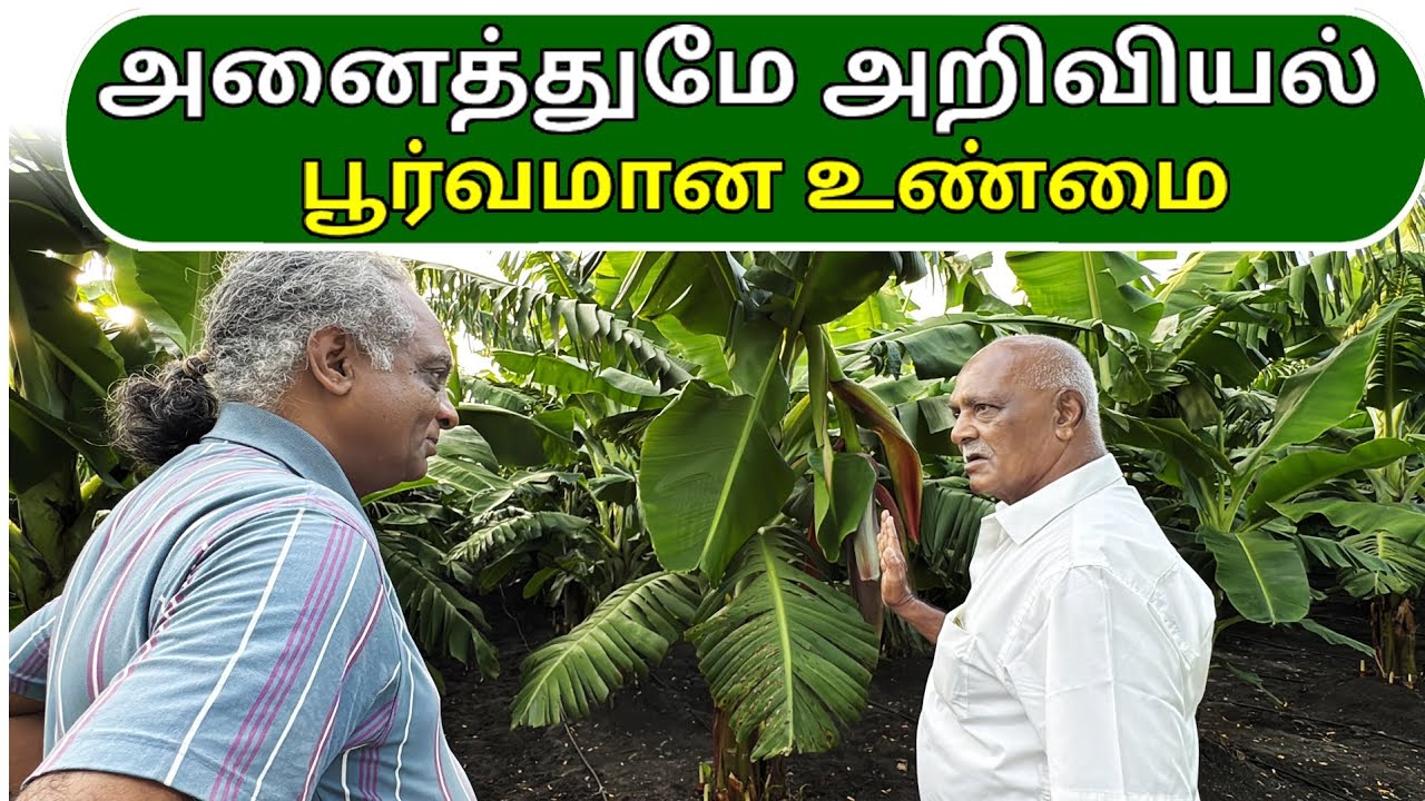 அனைத்துமே அறிவியல் பூர்வமான உண்மை | Everything is scientifically true | Banana Farming Tips | Ponnus