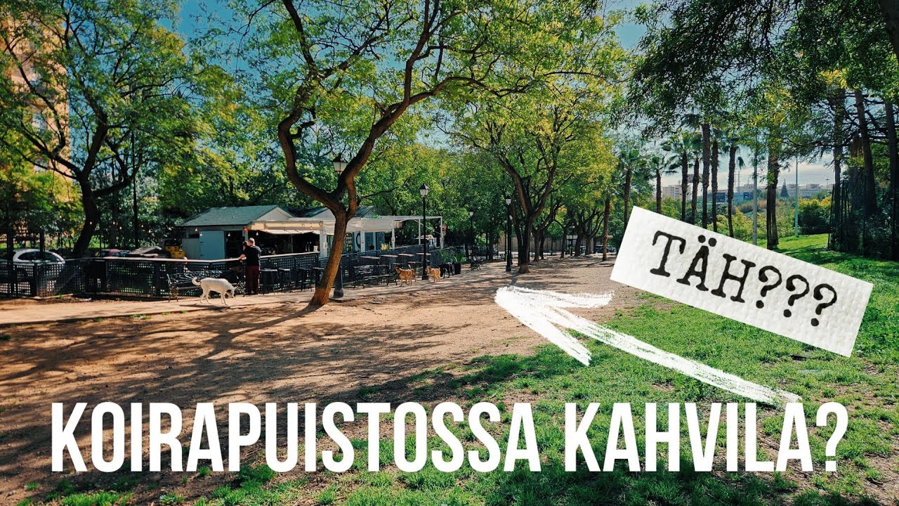 MAAILMAN PARAS KOIRAPUISTO ON ESPANJASSA | +LENTOKONEITA LASKEUTUU MYRSKYSSÄ