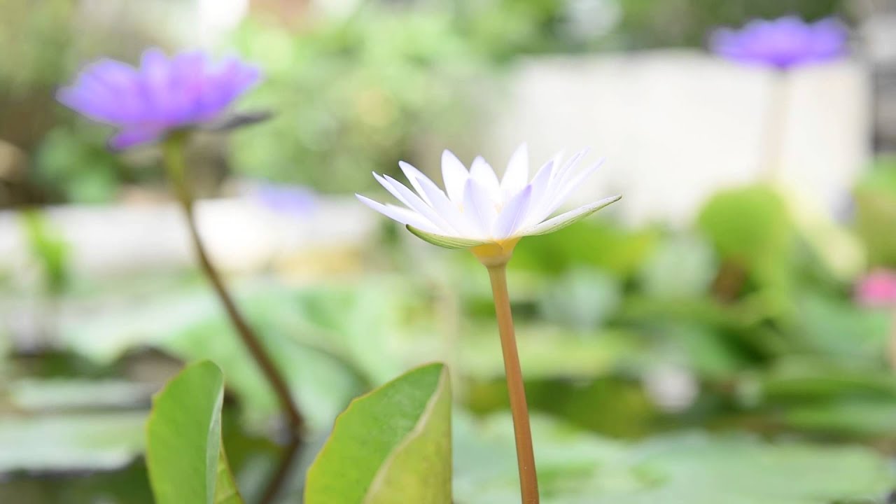 [Mobile01] Nikon 24-70mm f/2.8G Aperture Changing Speed