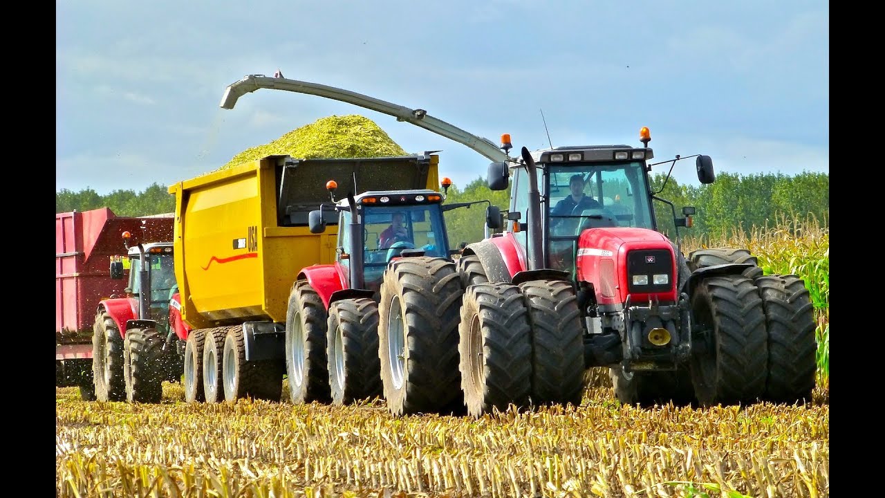 Mais hakselen Van Bakel Dairy 2012 - Jaguar 980, MF 8690, MF 7495, USA Equipment