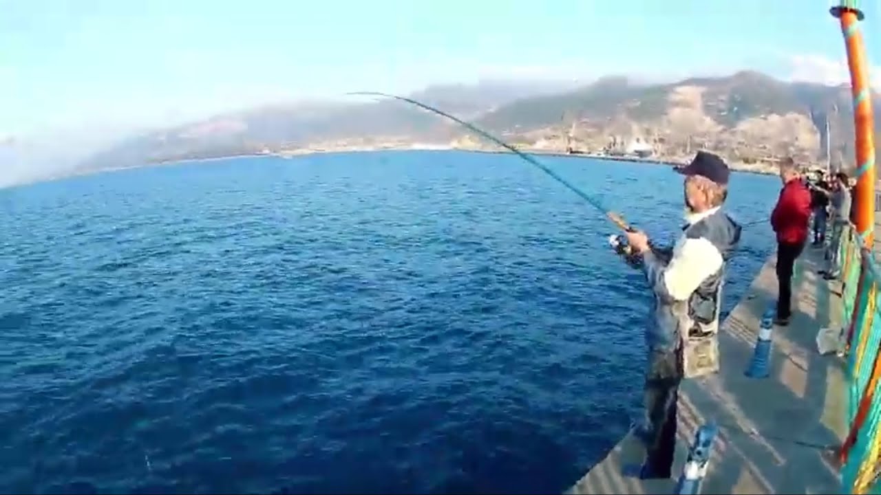 Ceylan Balığı Avı  1 Kaçan, 3 Yakalanan Ceylan. 4 Spanish mackerel
