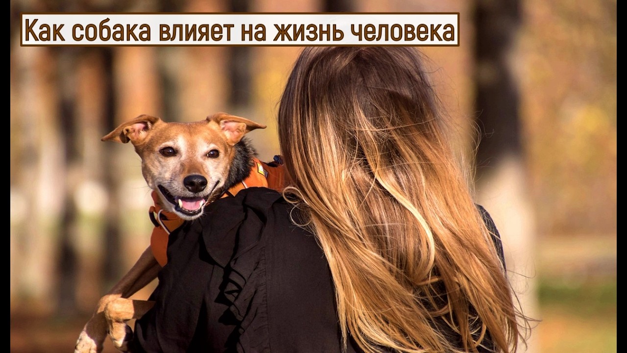 Как наличие питомца влияет на ВАШУ ЖИЗНЬ. Ключевые моменты)))