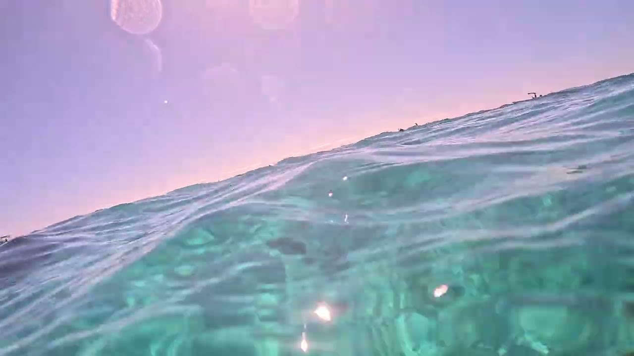 Belize Reef again