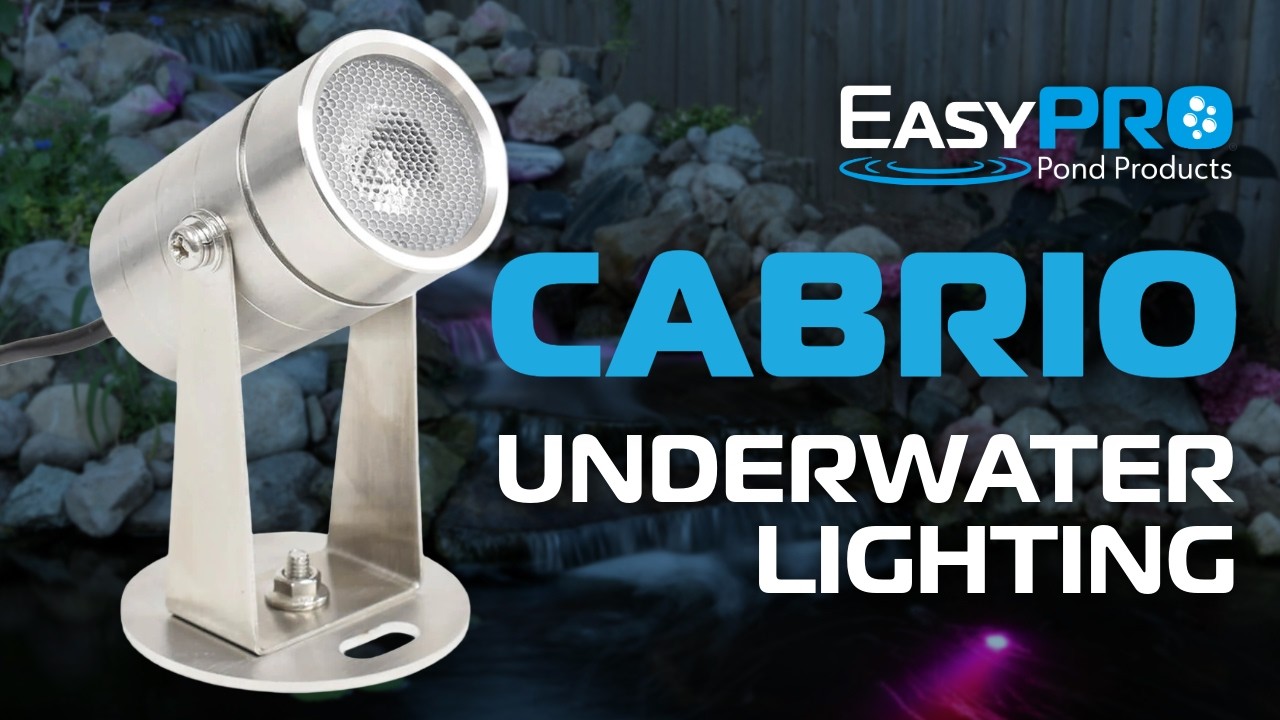 Cabrio Color Changing Compact LED Lights | Color Changing Pond Lighting