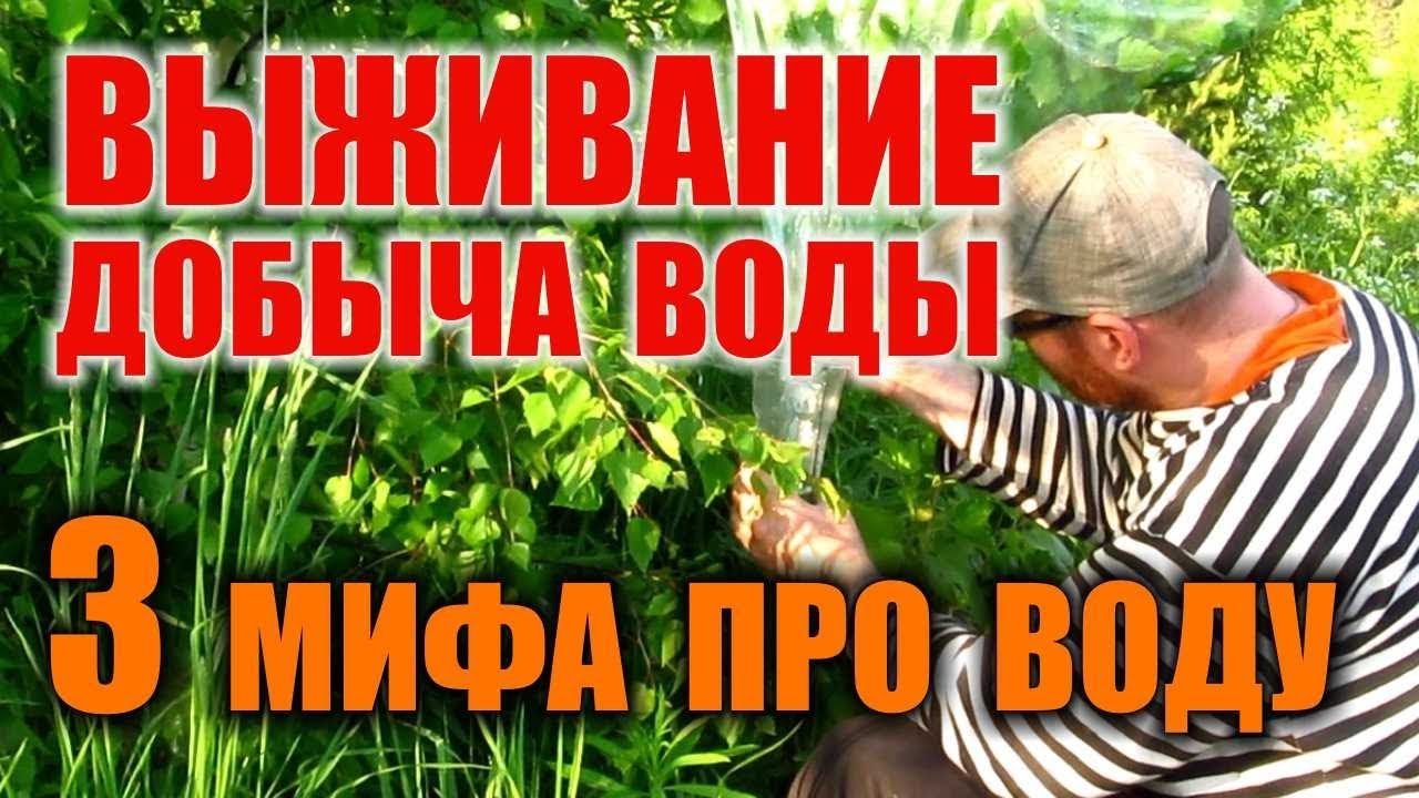 КАК НАЙТИ ВОДУ В ЛЕСУ. ДОБЫЧА ВОДЫ ПРИ ЧС. Известные способы добычи воды  - правда или миф. Бушкрафт