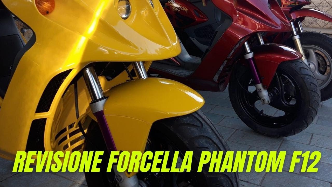 REVISIONE FORCELLA PHANTOM F12 TUTORIAL