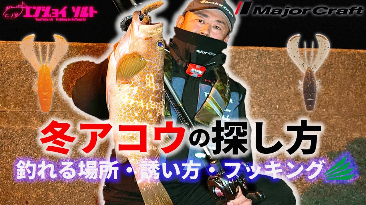 冬のアコウを釣りたいあなたへ。大事なポイントを公開!!