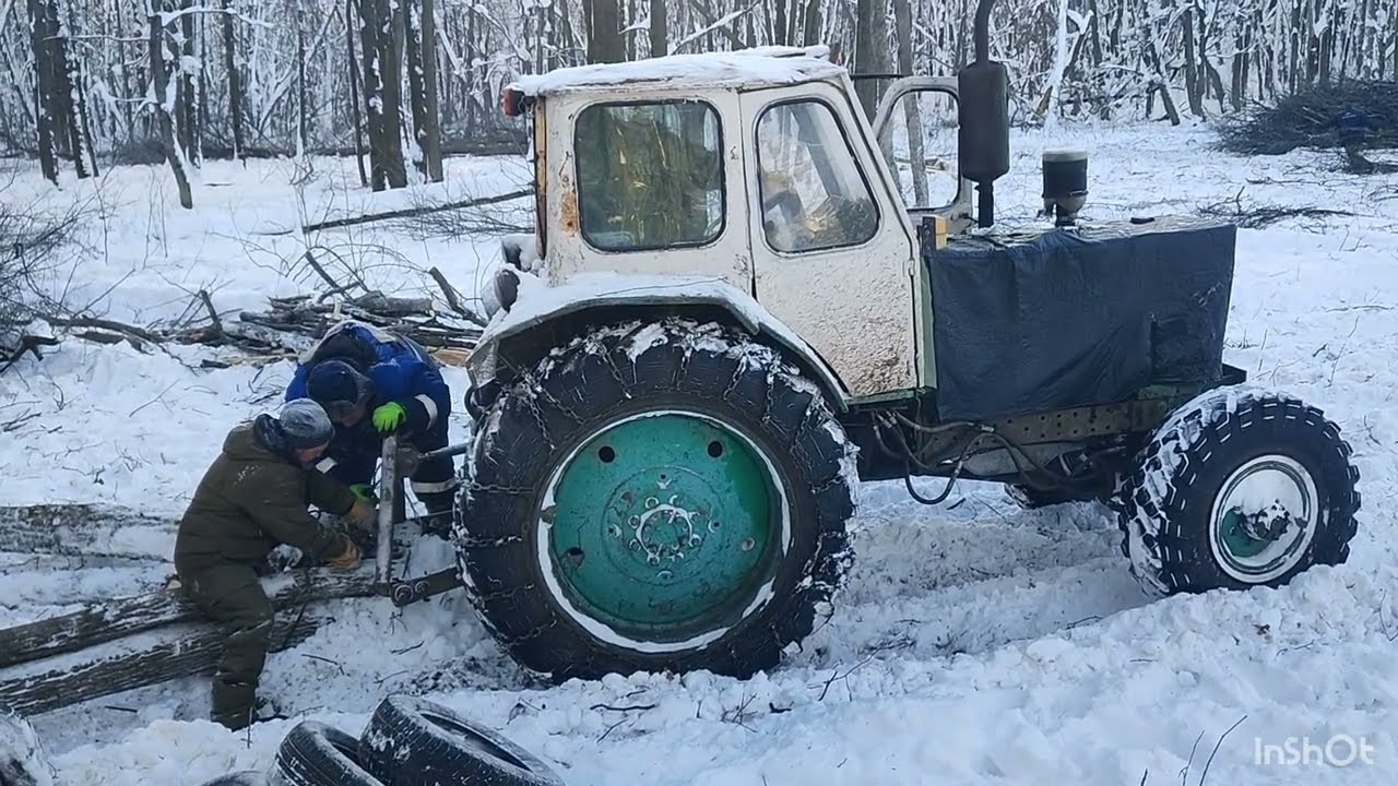 Первый день на деляне. Трелевка леса на ЮМЗ с ПВМ. Валка дерева. Работа бензопилами