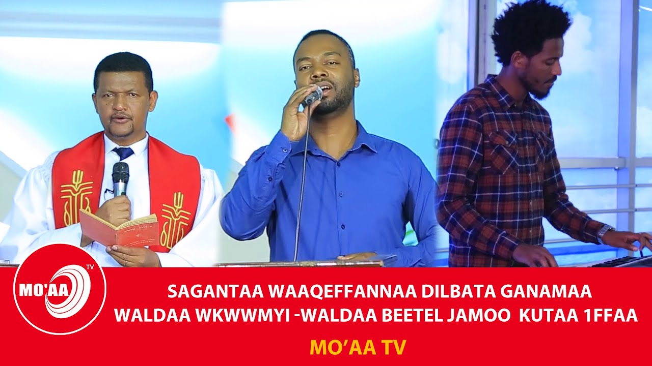 YEROO WAAQEFFANNAA BAREEDAA WALDAA WWMYI WALDAA BEETEL JAMOO-JAALALLEKO