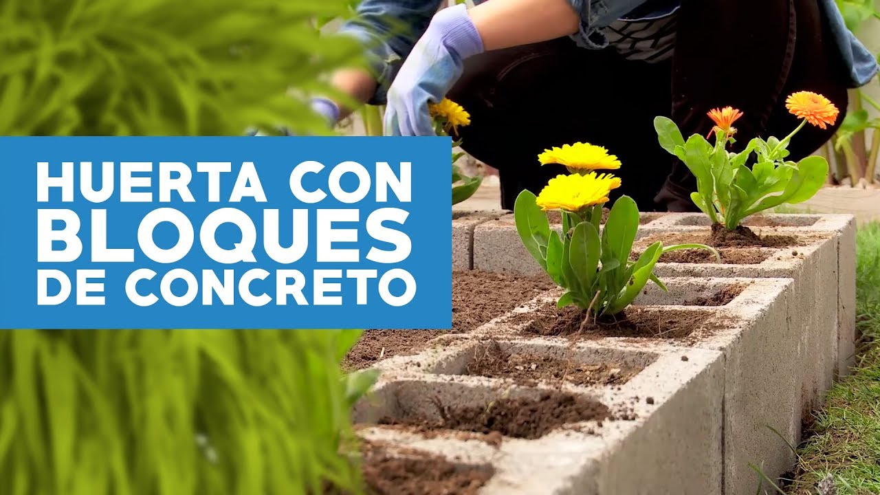 ¿Cómo hacer una huerta con bloques de concretos en el jardín?
