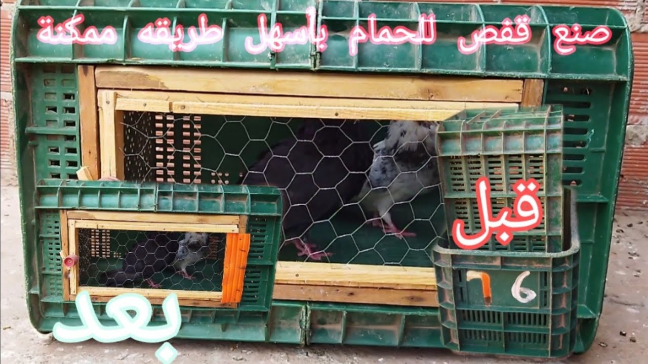صنع قفص للحمام بأسهل طريقه🐥🐥🐇🐇
