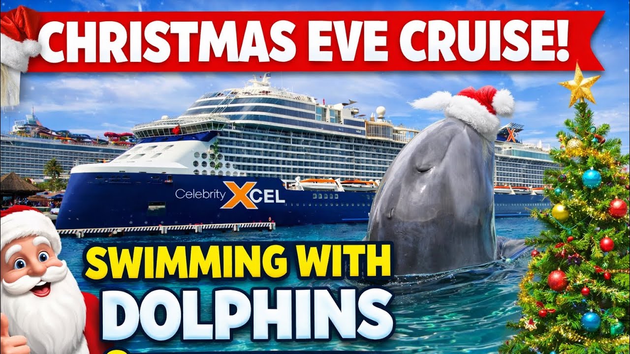 Cozumel Dolphin Swim on Celebrity Xcel Cruise 🚢🐬