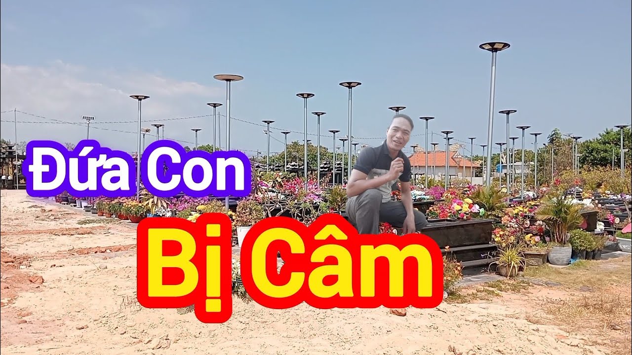 Ly Kỳ CÂU CHUYỆN ĐỨA CON BỊ CÂM - chuyện tâm linh 